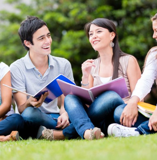 Happy group of students sitting at the park talking